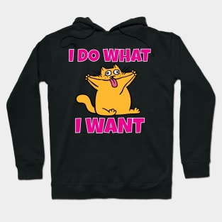 I do what I want funny cat Hoodie